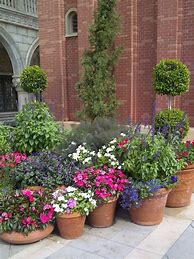Image result for Container Plant Garden Front Yard