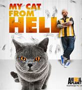Image result for My Cat From Hell Barberry