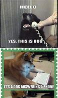 Image result for Cute Answering Phone Meme