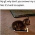 Image result for Cats Rule Meme