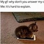 Image result for English Cat Meme