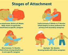 Image result for Bowlby's Attachment Theory