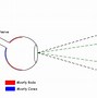 Image result for Eye Anatomy Rods and Cones
