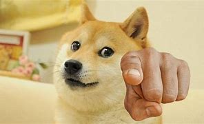 Image result for Doge Meme Paw