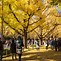 Image result for Tokyo University Autumn