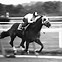 Image result for Secretariat Horse and Handler