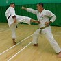 Image result for How to Karate Kick