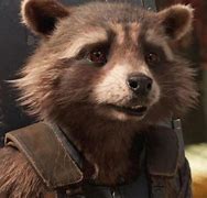 Image result for Rocket Guardians of the Galaxy Past