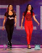 Image result for Brie Bella Costume