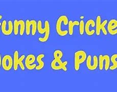 Image result for Jimmy Cricket Jokes