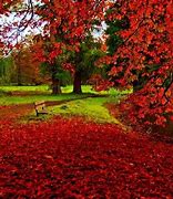 Image result for Zedge Wallpapers for PC Autumn