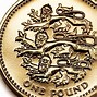 Image result for 1 Pound Coin