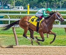 Image result for Horse Racing Aniated Wallpaper