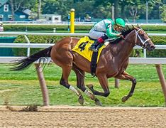 Image result for Types of Horse Racing