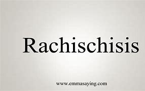 Image result for Rachischisis Drawing