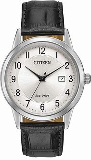 Image result for Citizen Solar Tech Watch