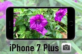 Image result for iPhone 7 Plus Camera MP