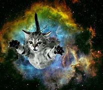 Image result for Cute Galaxy Kitten