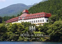 Image result for Hakone Hotel Japan