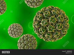 Image result for السنط الجلدي Papillomaviruses