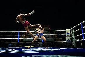 Image result for Muay Thai vs Boxing