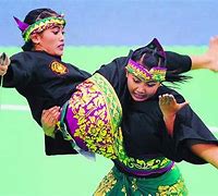 Image result for Indonesian Martial Arts