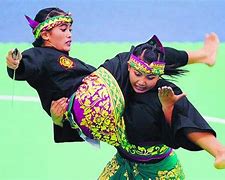 Image result for Pencak Silat Martial Arts