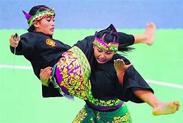 Image result for Martial Arts From around the World