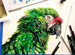Image result for Realistic Marker Drawings