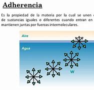 Image result for adjerencia