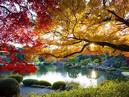 Image result for Tokyo Fall