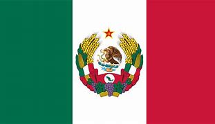 Image result for Nazbol Mexico Flag