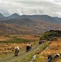 Image result for Small Isles Scotland