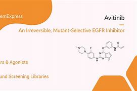 Image result for eGFR Inhibitors