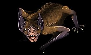 Image result for Biggest Vampire Bat