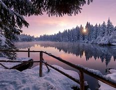 Image result for Magical Winter Forest Wallpaper