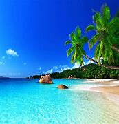 Image result for Tropical Paradise Wallpaper iPhone