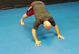 Image result for 100 Days of Pushups