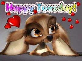 Image result for Tuesday Animals