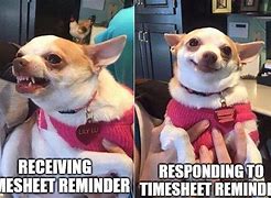 Image result for Reminder Dog Meme