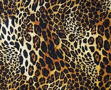 Image result for Leopard Print Desktop Background