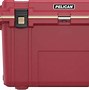 Image result for Purple Pelican Coolers