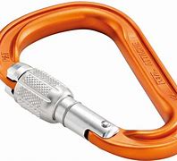Image result for Rock Climbing Carabiner