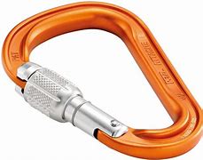 Image result for Latching Climbing Carabiner