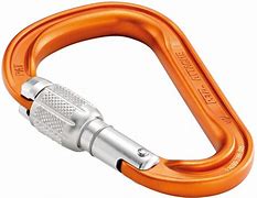 Image result for Rock Climbing Carabiner with Reversal Clips