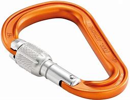 Image result for Climbing Carabiner