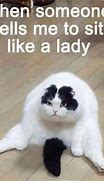 Image result for Tall Cat Meme