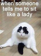 Image result for Sitting Cat Meme