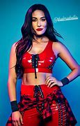 Image result for Brie Bella Cute