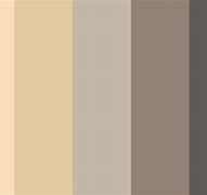 Image result for Champagne Gold Color Swatch